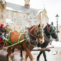 Charlottetown Christmas Festival - 26.11.2021